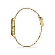 Ceas Daniel Klein Premium DK.1.12912.3