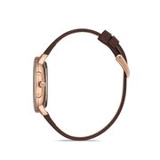 Ceas Daniel Klein Premium DK.1.12931.3