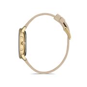 Ceas Daniel Klein Premium DK.1.12931.5