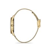 Ceas Daniel Klein Premium DK.1.12937.3