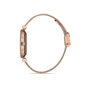 Ceas Daniel Klein Premium DK.1.12954.2