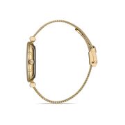 Ceas Daniel Klein Premium DK.1.12954.3