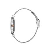 Ceas Daniel Klein Premium DK.1.12954.6