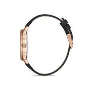 Ceas Daniel Klein Premium DK.1.12966.6