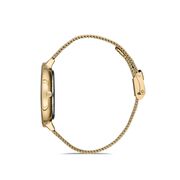 Ceas Daniel Klein Premium DK.1.12972.2