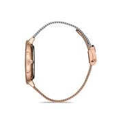 Ceas Daniel Klein Premium DK.1.12972.3