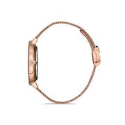 Ceas Daniel Klein Premium DK.1.12972.4