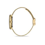 Ceas Daniel Klein Premium DK.1.12980.3