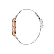 Ceas Daniel Klein Premium DK.1.12989.6