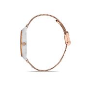 Ceas Daniel Klein Premium DK.1.12991.2