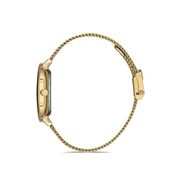 Ceas Daniel Klein Premium DK.1.13008.2