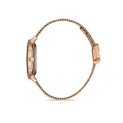 Ceas Daniel Klein Premium DK.1.13008.3