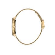 Ceas Daniel Klein Trendy DK.1.12904.2