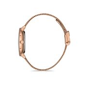 Ceas Daniel Klein Trendy DK.1.12904.3