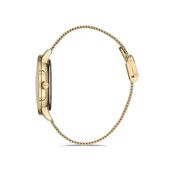 Ceas Daniel Klein Trendy DK.1.12914.3