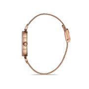 Ceas Daniel Klein Trendy DK.1.12929.3