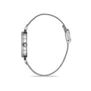 Ceas Daniel Klein Trendy DK.1.12929.4