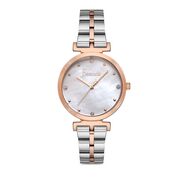 Ceas Freelook Eiffel FL.1.10240.4