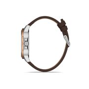 Ceas Daniel Klein Premium DK.1.13065.3