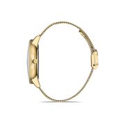 Ceas Daniel Klein Exclusive DK.1.13033.2