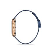 Ceas Daniel Klein Fiord DK.1.13093.6