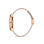 Ceas Daniel Klein Premium DK.1.13032.3