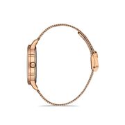 Ceas Daniel Klein Premium DK.1.13036.3