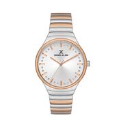 Ceas Daniel Klein Premium DK.1.13041.2