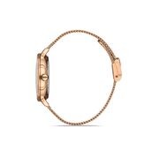 Ceas Daniel Klein Premium DK.1.13043.2