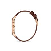 Ceas Daniel Klein Premium DK.1.13057.2