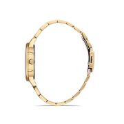 Ceas Daniel Klein Premium DK.1.13061.3