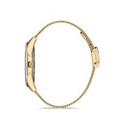 Ceas Daniel Klein Premium DK.1.13149.2