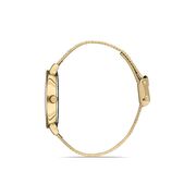 Ceas Daniel Klein Premium DK.1.13151.3