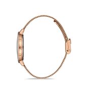 Ceas Daniel Klein Premium DK.1.13159.3