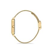 Ceas Daniel Klein Premium DK.1.13161.4