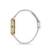 Ceas Daniel Klein Premium DK.1.13186.3