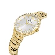 Ceas Daniel Klein Premium DK.1.13205.3