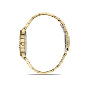 Ceas Daniel Klein Premium DK.1.13205.3