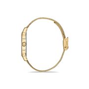 Ceas Daniel Klein Premium DK.1.13208.5