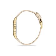 Ceas Daniel Klein Premium DK.1.13209.3