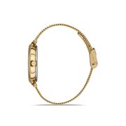 Ceas Daniel Klein Premium DK.1.13218.3