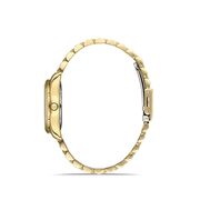 Ceas Daniel Klein Premium DK.1.13221.4