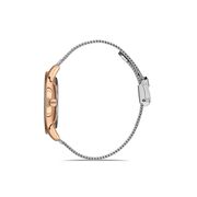 Ceas Daniel Klein Premium DK.1.13222.3