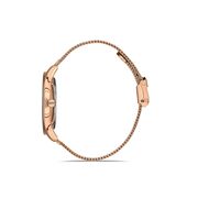 Ceas Daniel Klein Premium DK.1.13222.5