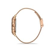 Ceas Daniel Klein Premium DK.1.13226.2