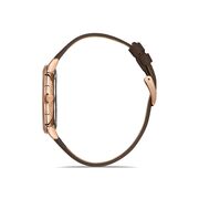 Ceas Daniel Klein Premium DK.1.13245.4