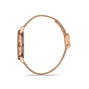 Ceas Daniel Klein Premium DK.1.13246.3