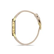 Ceas Daniel Klein Premium DK.1.13254.4