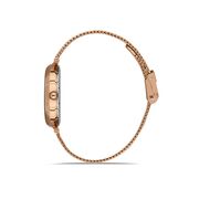 Ceas Daniel Klein Premium DK.1.13262.2