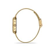 Ceas Daniel Klein Premium DK.1.13262.5